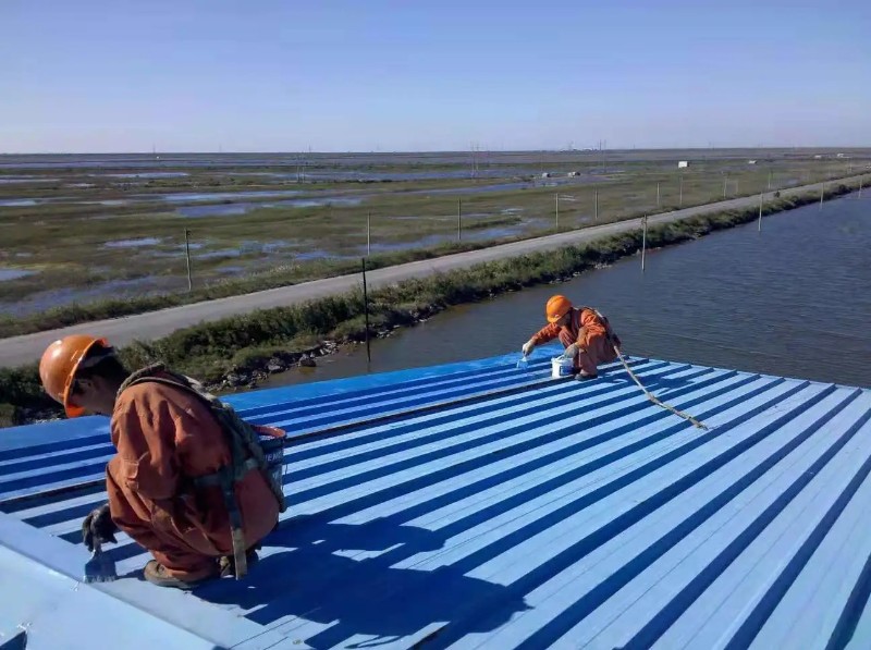 洛龙钢结构屋面漏水原因